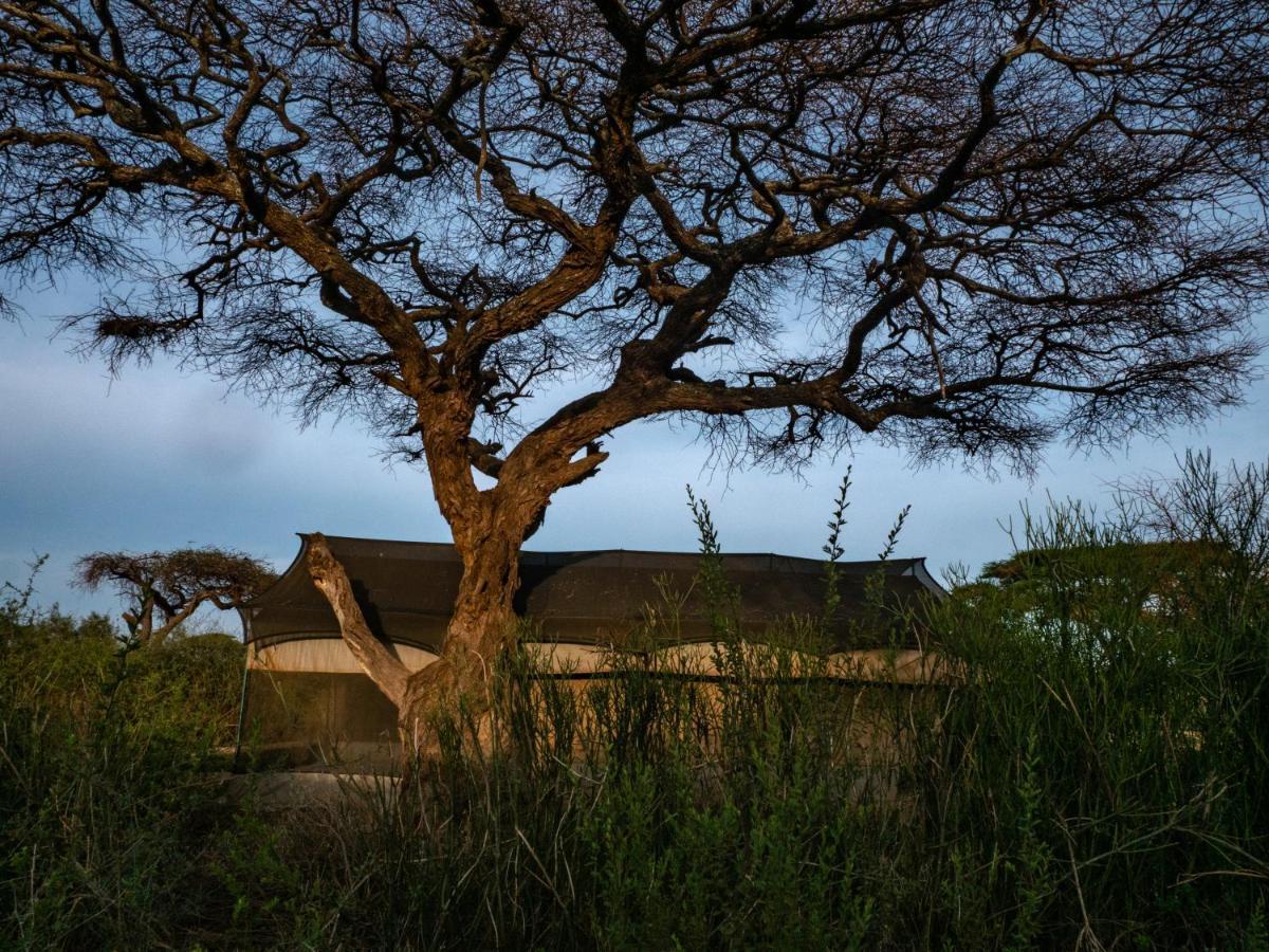 Отель Tulia Amboseli Safari Camp Экстерьер фото