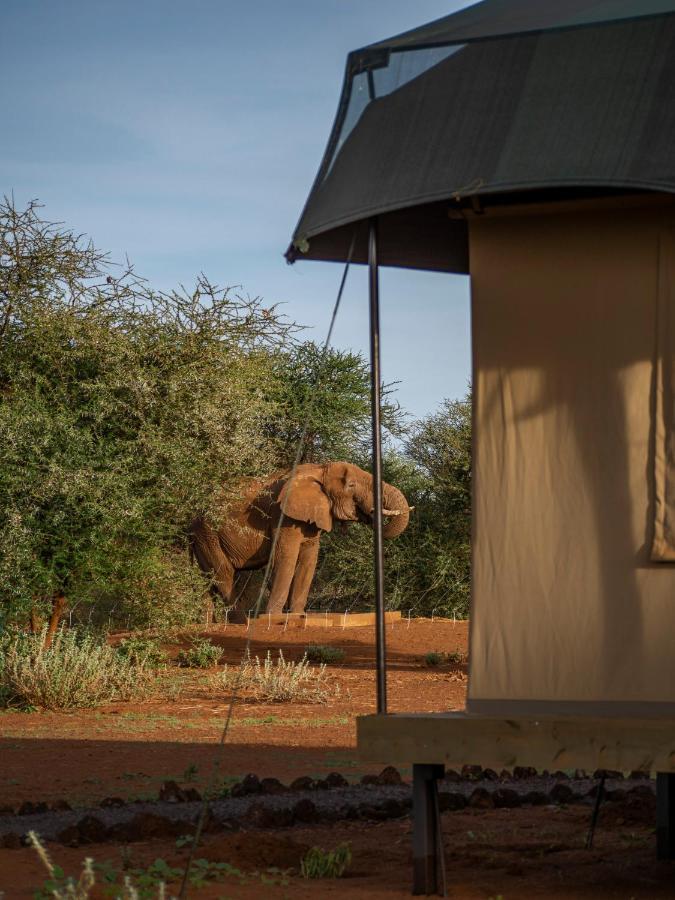 Отель Tulia Amboseli Safari Camp Экстерьер фото